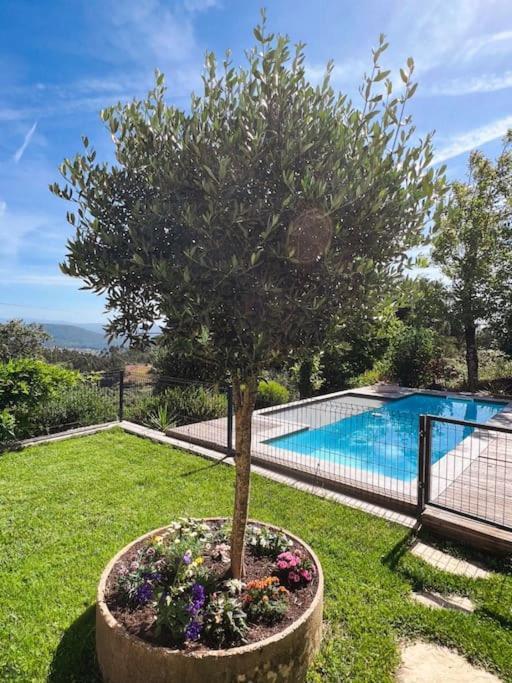 Villa Casa Estrela Alvaiázere Exterior foto